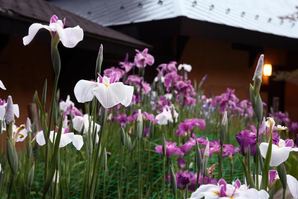 Satonoyu Waraku 13 Years Or Older Hotel Minamioguni Exterior foto